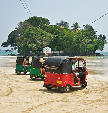 POrtfolio Image Here